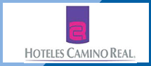 imagenes/logo_caminoreal.jpg